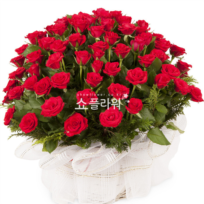 상세이미지