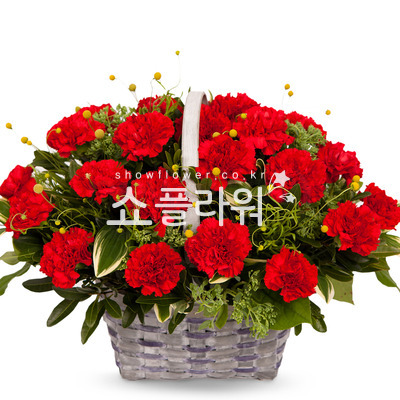 어버이날 8번