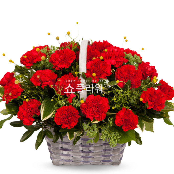 상세이미지