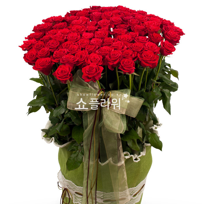 상세이미지