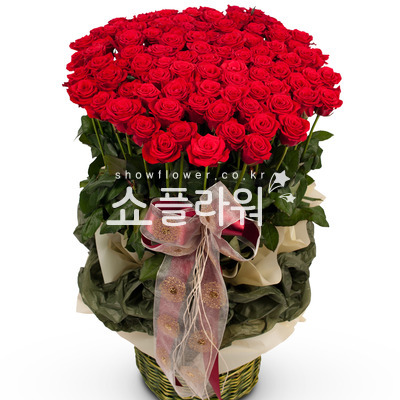 내 마음을 담아
