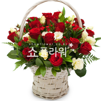 사랑의 파수꾼♥최고인기상품
