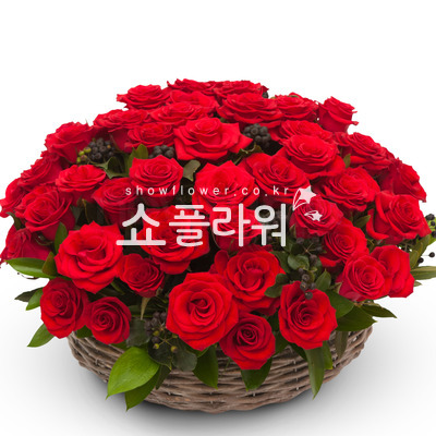 레드장미바구니