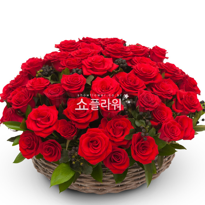 상세이미지