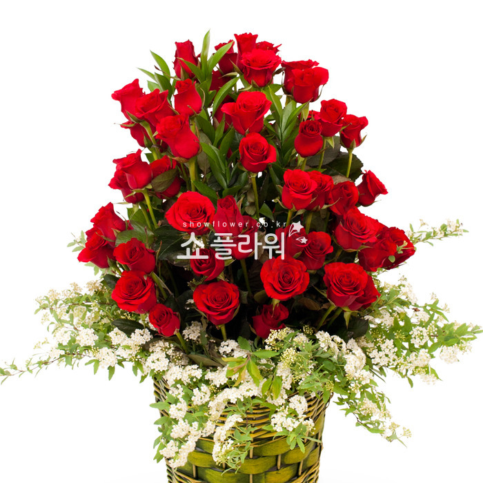 상세이미지
