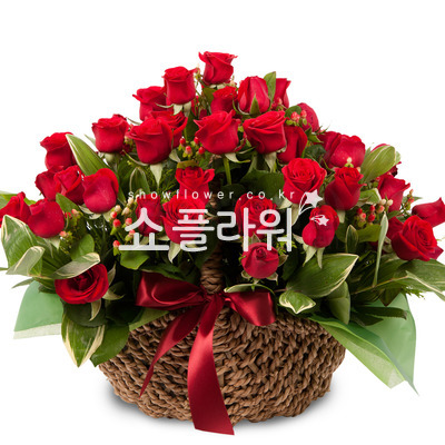 붉은 장미바구니