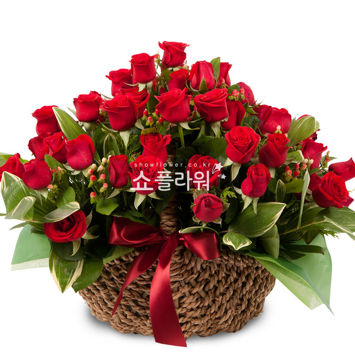 상세이미지
