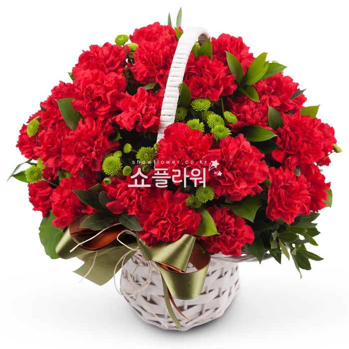 상세이미지