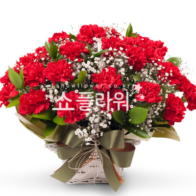 카네이션바구니