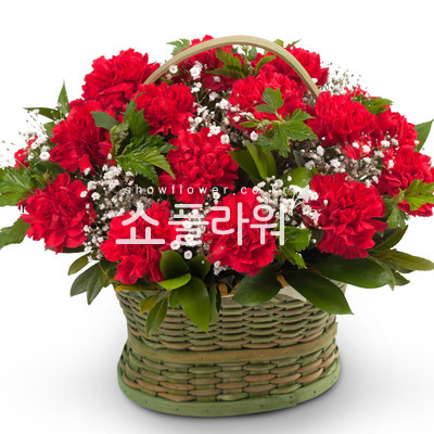 어버이날 3번