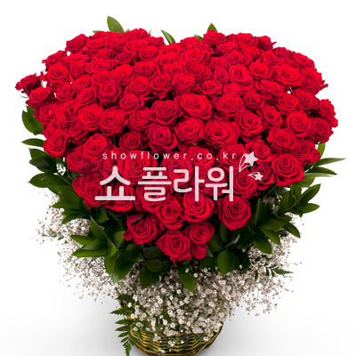 100송이 레드빛 사랑