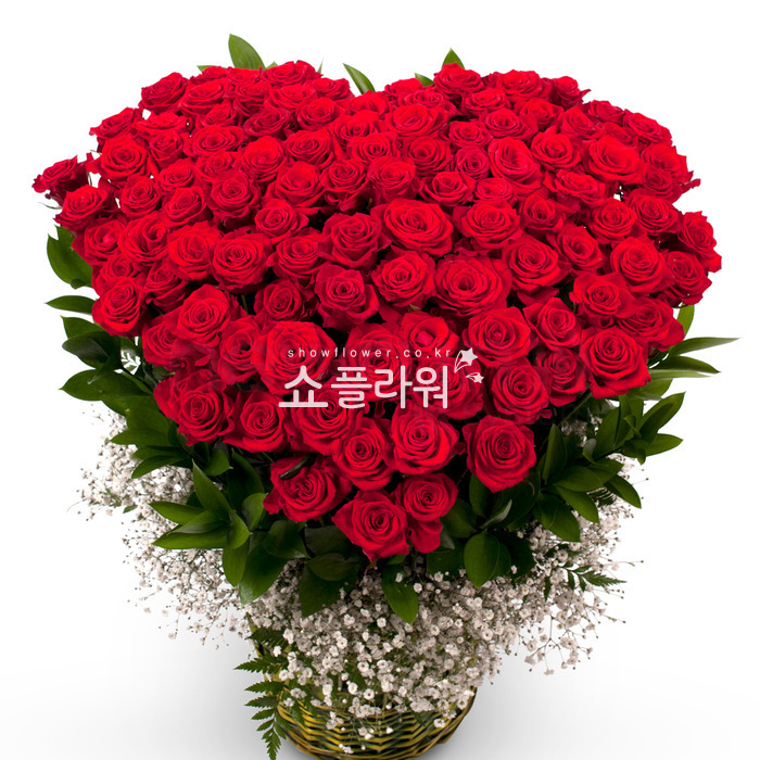 상세이미지