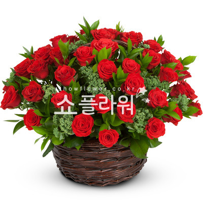 사랑 그리고...
