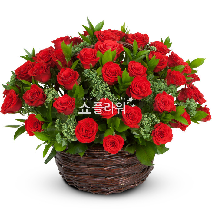 상세이미지