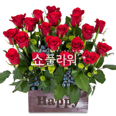 레드빛