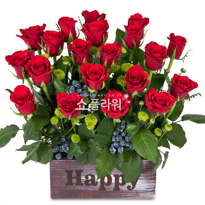 상세이미지