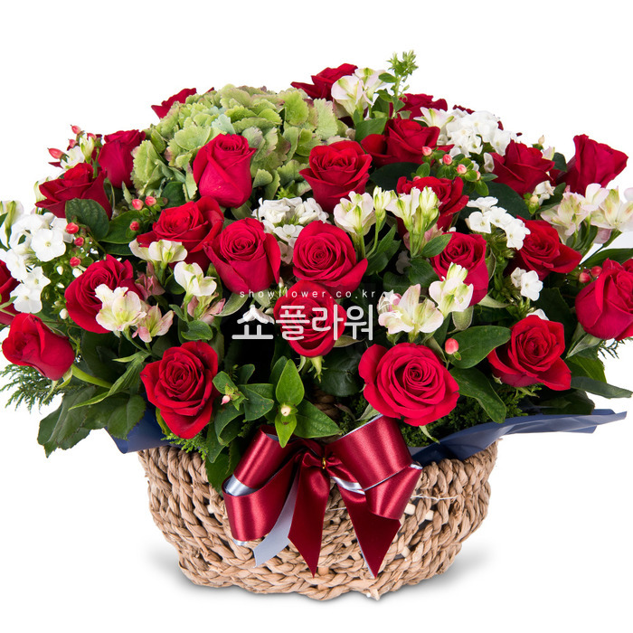 상세이미지