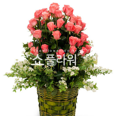 내 사랑 여인이여~