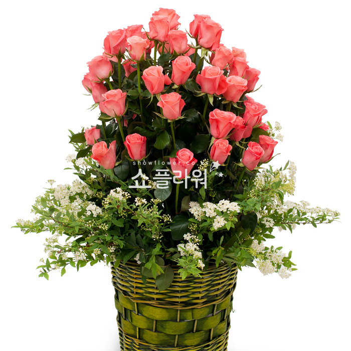 상세이미지