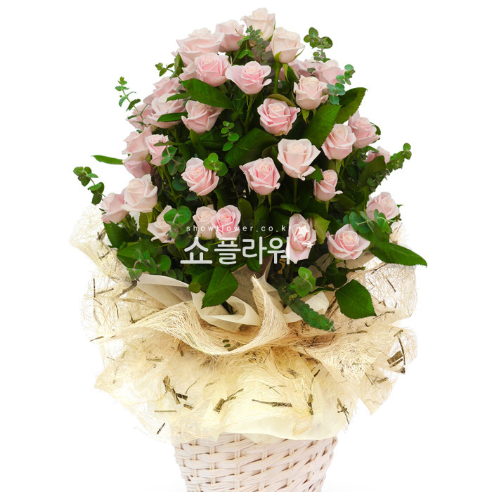 상세이미지