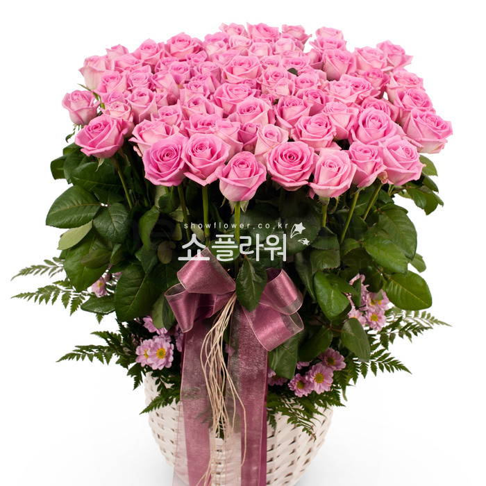 상세이미지