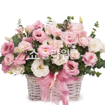 핑크리시안바구니
