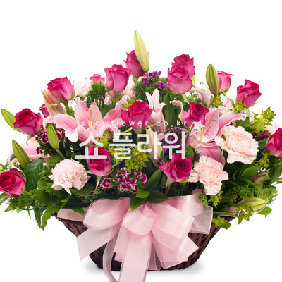 좋은걸 어떡해