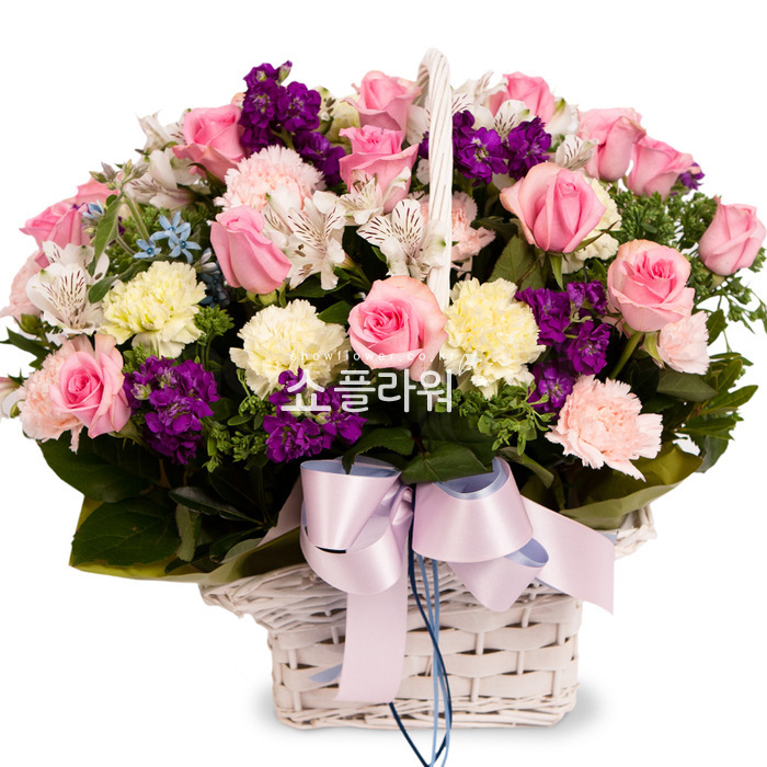 상세이미지