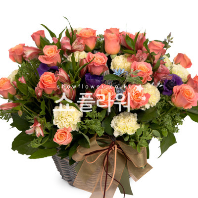 핑크톤바구니