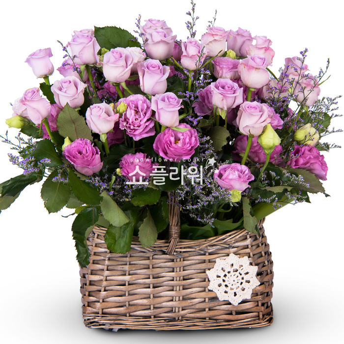 상세이미지