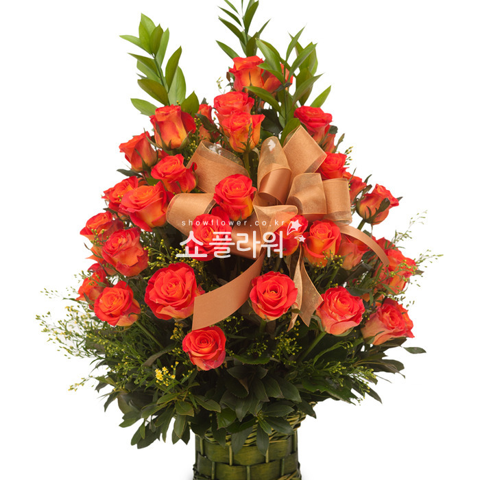 상세이미지