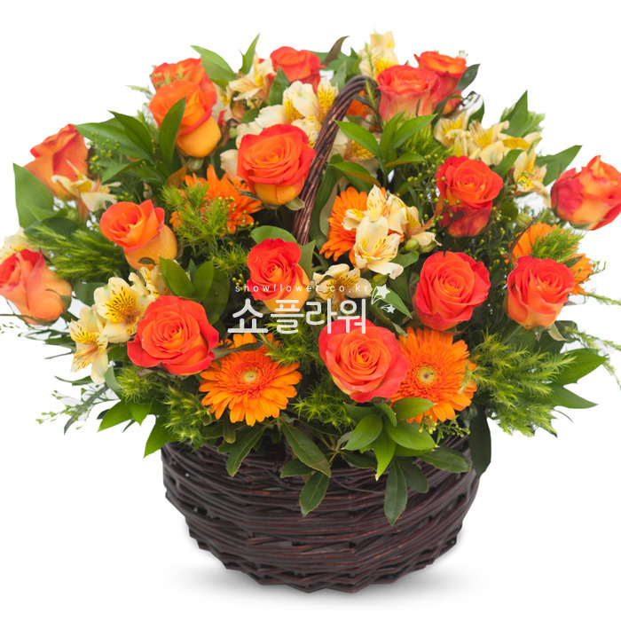 상세이미지
