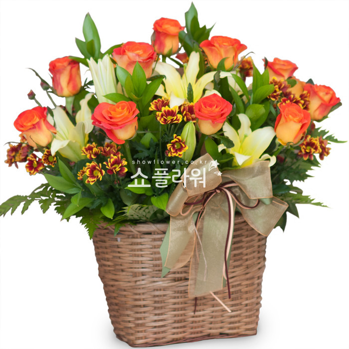 상세이미지