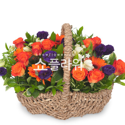 오렌지 마말레이드4