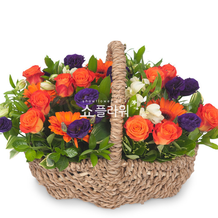 상세이미지