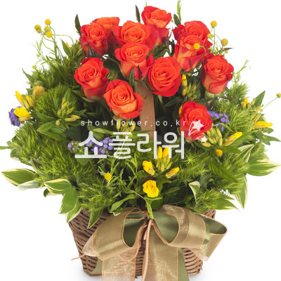 순수한 사랑