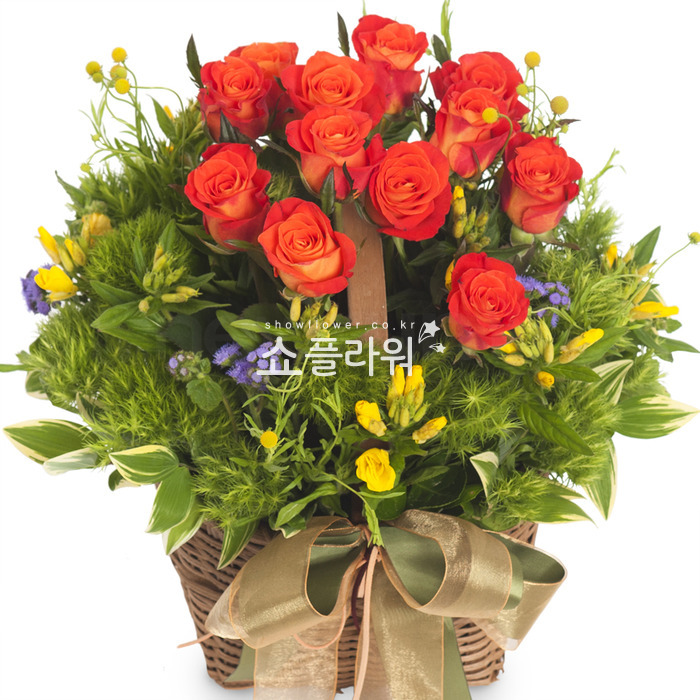 상세이미지