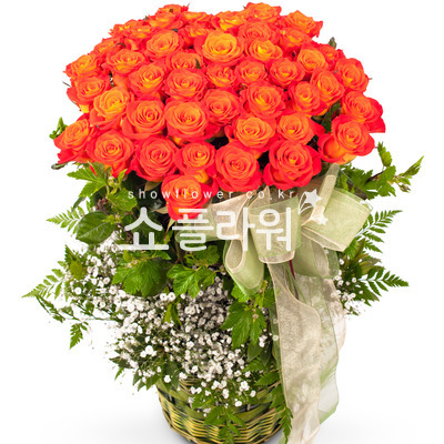자주색장미바구니