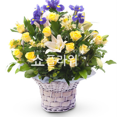 노랑장미바구니3