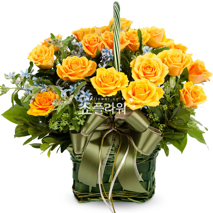 상세이미지