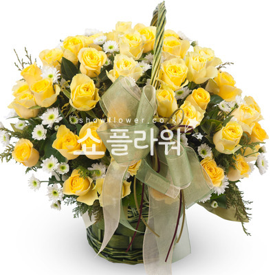 옐로 5호