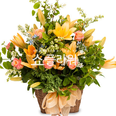나리들의나들이