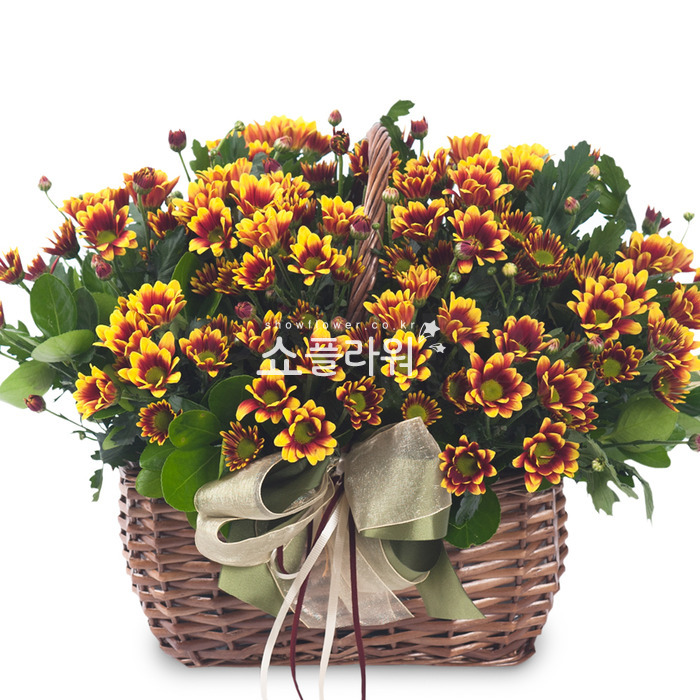 상세이미지