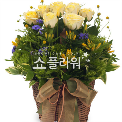 옐로우톤바구니