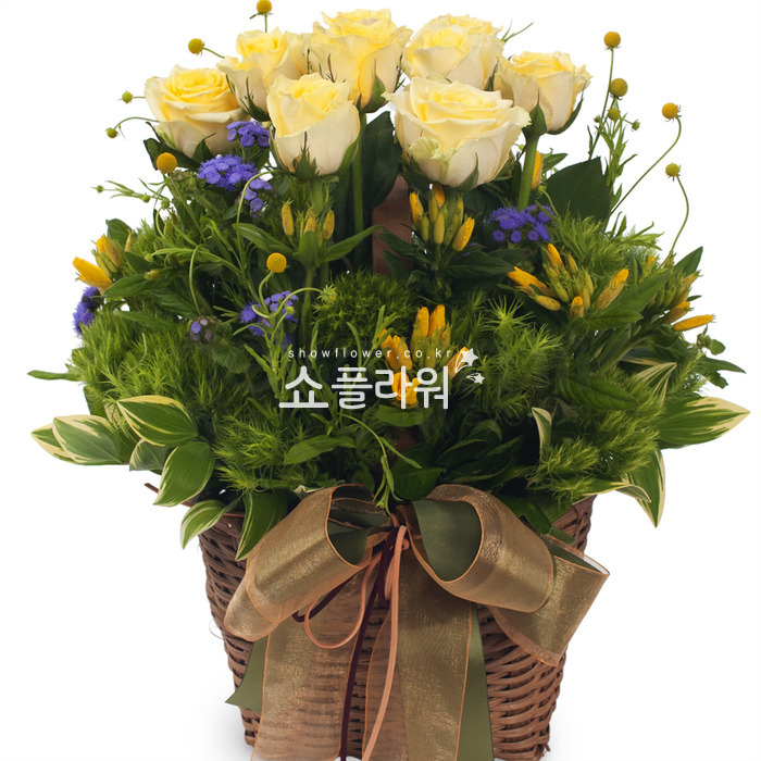 상세이미지