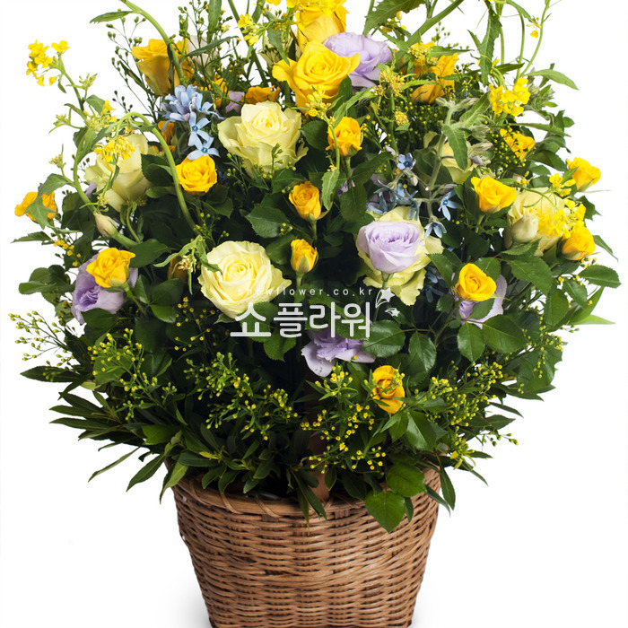 상세이미지