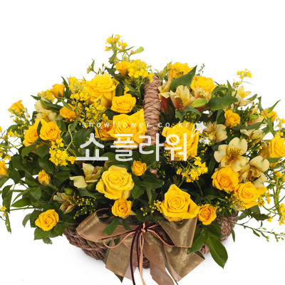 미니노랑장미혼합