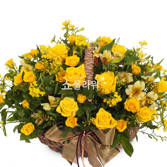 상세이미지