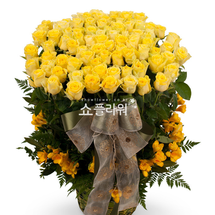 상세이미지