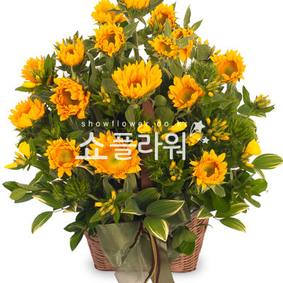 해바라기2